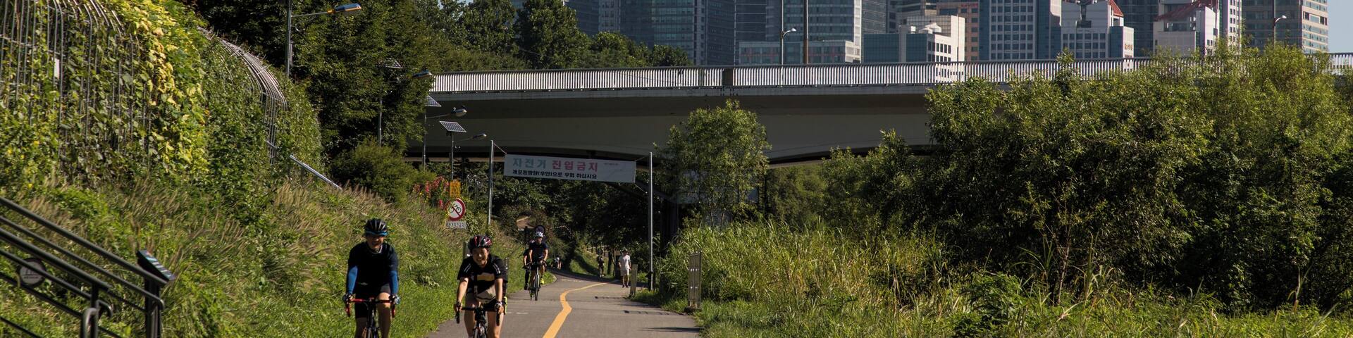 A cityscape with tall buildings, a bike path, and greenery.