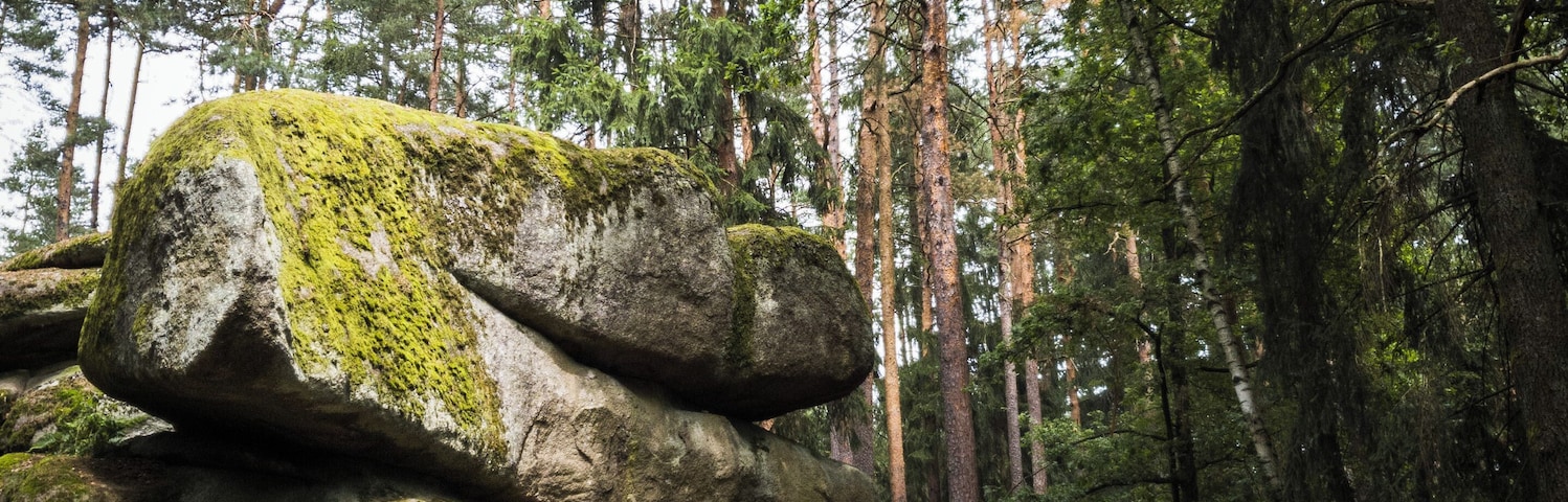 One of the many amazing stones at Blockheide-Eibenstein.