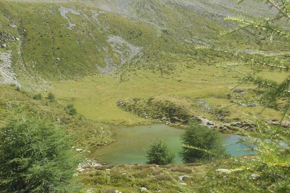 Un paisaje montañoso con un pequeño estanque rodeado de vegetación y terreno rocoso.