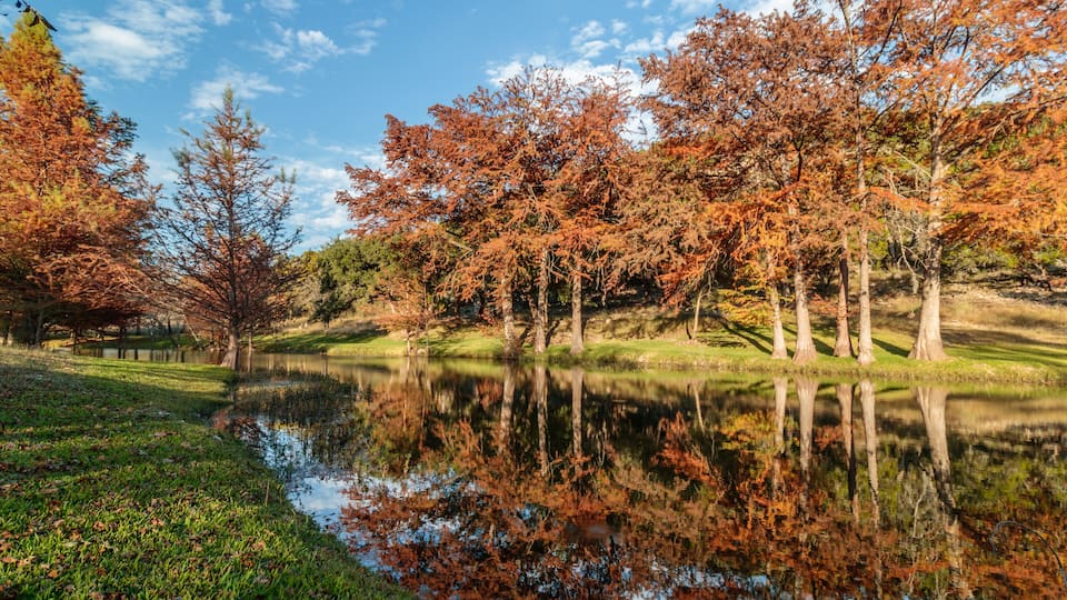 A serene pond surrounded by trees with autumn foliage, a clear sky, and a grassy area.