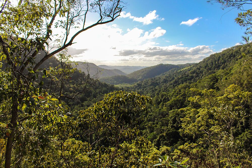 A lookout spot on the way to the Kondalilla  Falls on the Sunshine Coast. Amazing part of Australia
http://www.theaussienomad.com/featured-photos/sunshine-coast-hinterland/