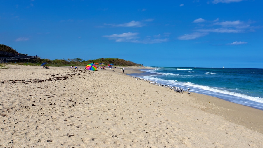 John D. MacArthur Beach State Park which includes a beach