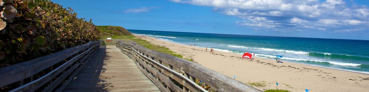 John D. MacArthur Beach State Park featuring a sandy beach