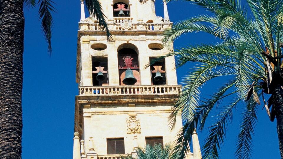 A tall bell tower with multiple bells, surrounded by palm trees against a clear blue sky.