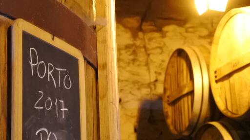 There is place in the Douro Valley, what you shouldn't miss out.
It is called the Quinta do Tedo. A small vinery, producing quality Port wine and Douro wine. Warm hearted people are running this business, I can only recommend to visit it!
They have their own walking path as well, so you can go for a quick hike before the wine tasting.
#douro #portugal #portwine #dourovalley