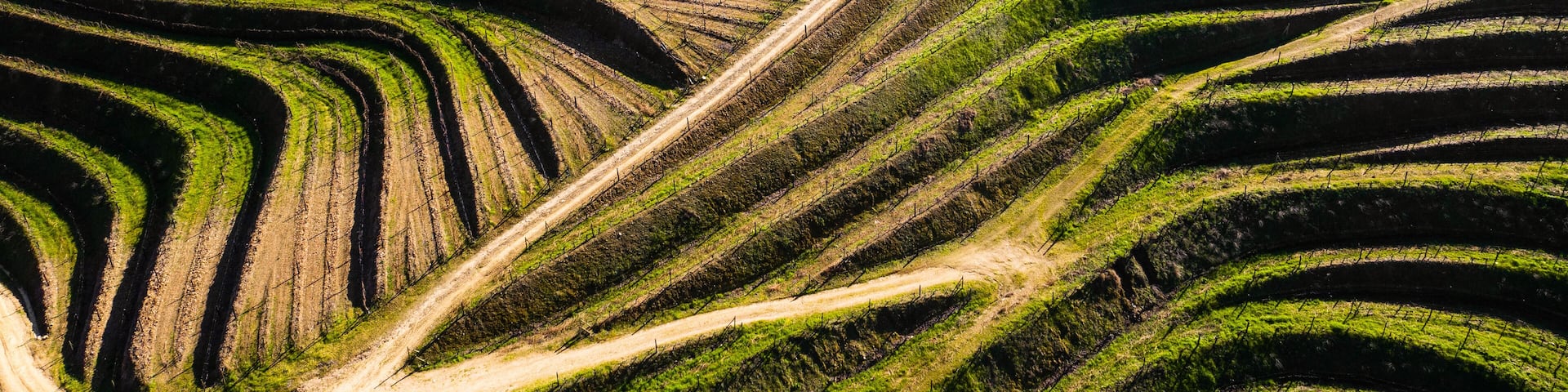 Aerial view of vineyards terraces in Douro Valley, Portugal