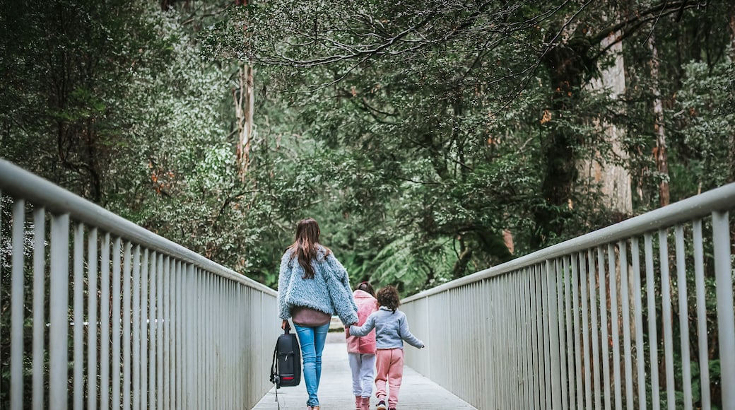 Healesville