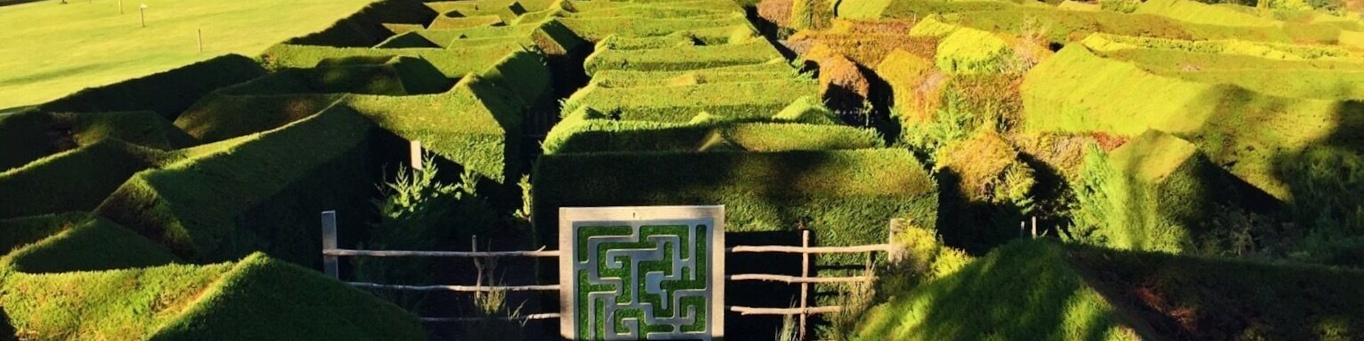 Mazes are amazing 🌳🍃🌿 #maze #greengrass