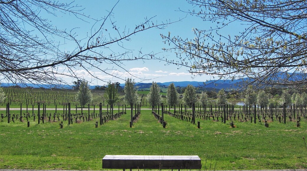 When you enter the gates at Oakridge the first thing you will notice is the beauty. A blossom lined driveway meanders its way through the property.
With chef Matt Stone and Jo Barrett designing amazing taste sensation.
A must!!!
#melbourne #yarravalley #oakridge #spring #finedining #yarravalleylife