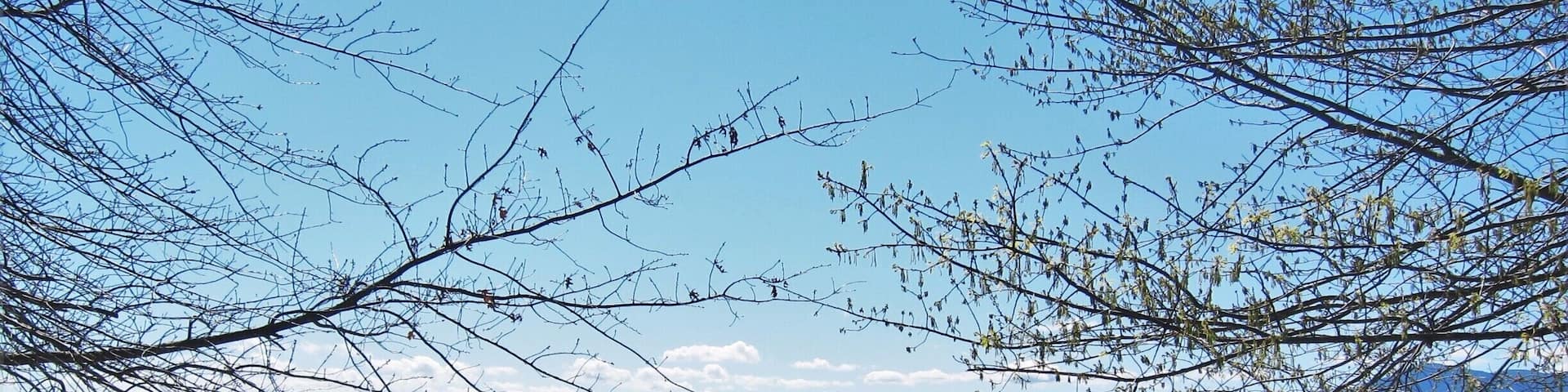 When you enter the gates at Oakridge the first thing you will notice is the beauty. A blossom lined driveway meanders its way through the property.
With chef Matt Stone and Jo Barrett designing amazing taste sensation.
A must!!!
#melbourne #yarravalley #oakridge #spring #finedining #yarravalleylife
