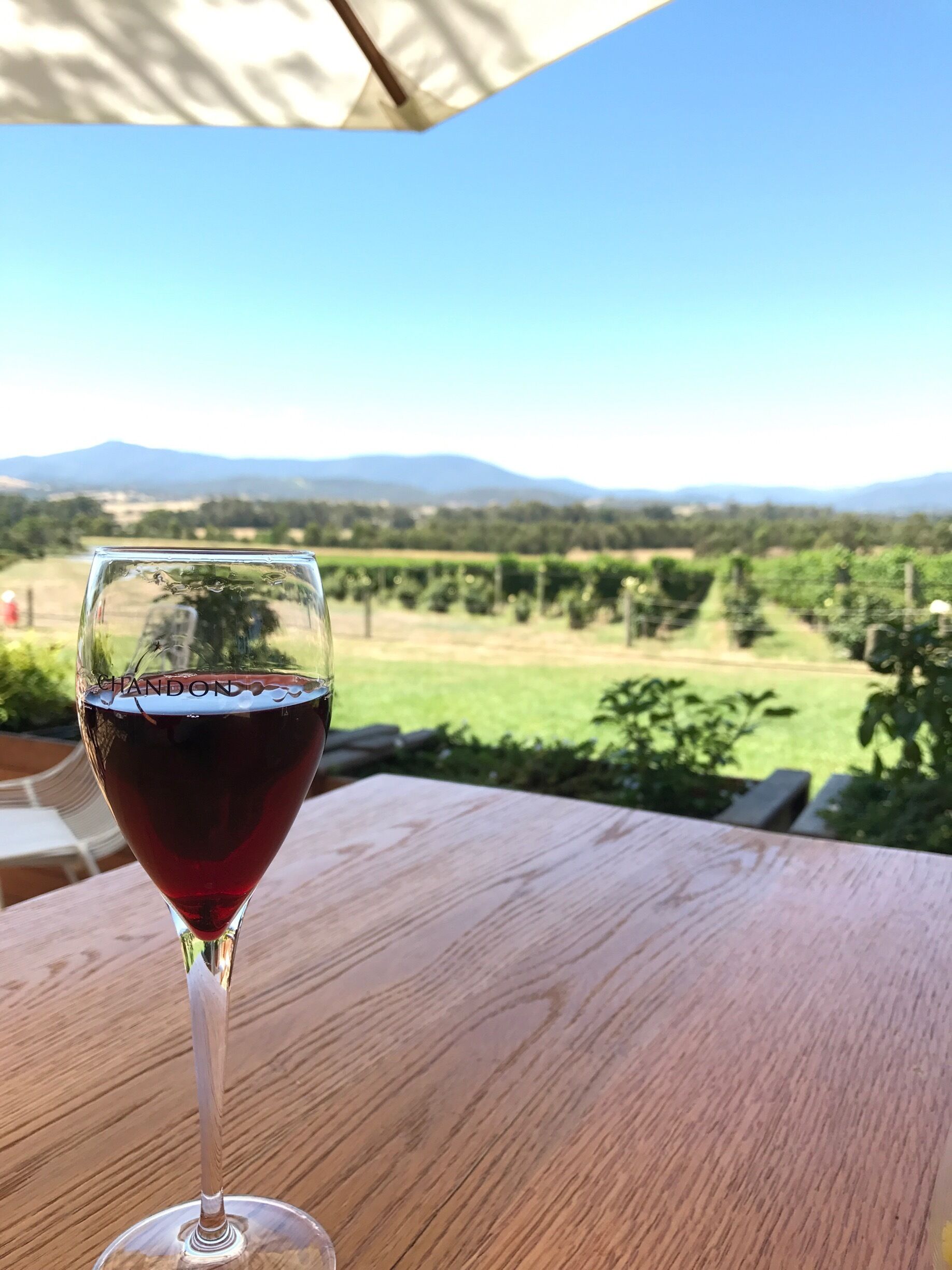 A day well-spent on the Yarra Valley Wine Co. winery tour. We had our fill or drinks and wonderful views. #Australia #wine #yarravalley