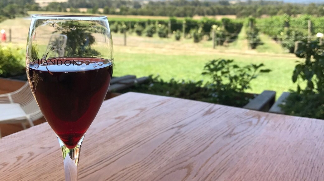 A day well-spent on the Yarra Valley Wine Co. winery tour. We had our fill or drinks and wonderful views. #Australia #wine #yarravalley