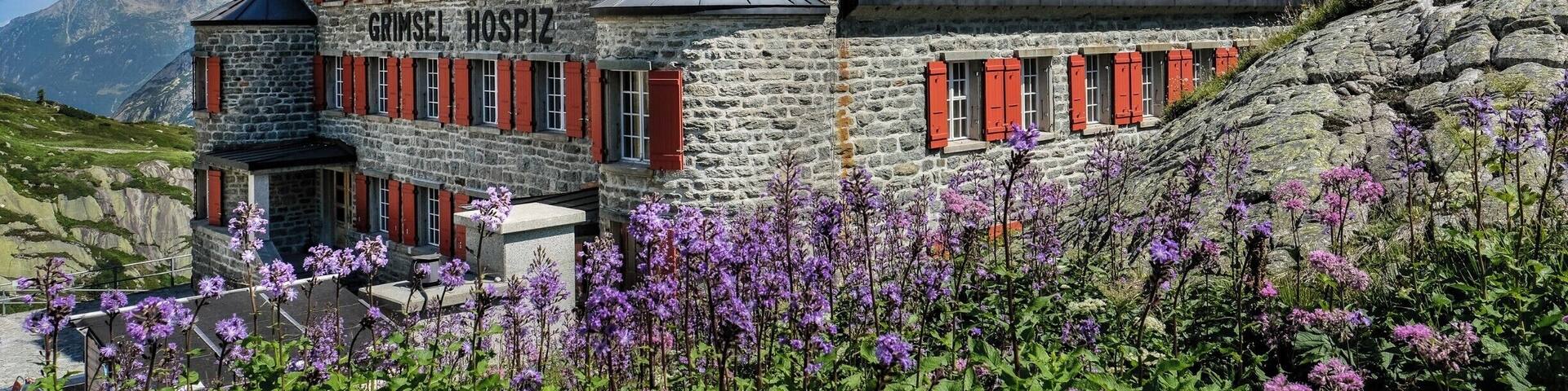Great roadtrip up the Grimsel Pass