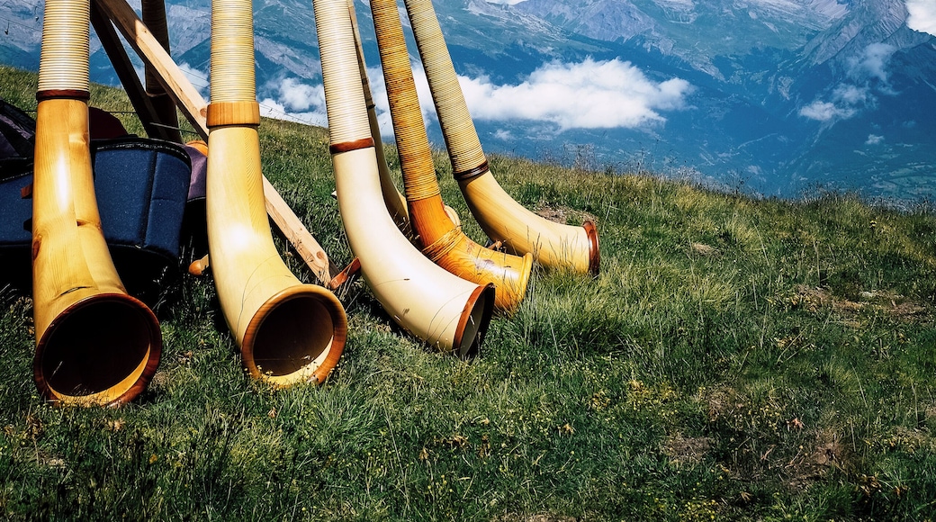 Alphorn Festival in Nendaz is a week-end of celebration and competition of a very unique instrument, the Alphorn. Players
- and music lovers - from all over the world come to Switzerland to celebrate the instrument, and share an amazing moment when all the Alphorn players gather around to play the 'morceau d'ensemble' selected that year! #Culture