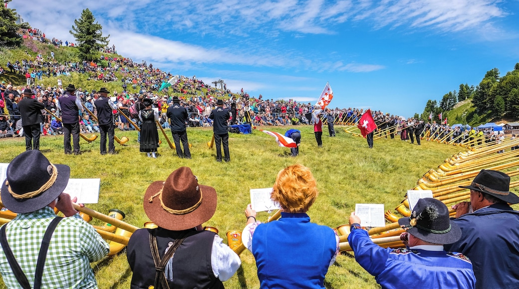 The "Festival de cor des Alpes" happens every summer in the mountains in Nendaz. What better place to hear these traditional instruments ? This photo was taken during the "morceau d'ensemble", played by more than 100 musicians. #culture