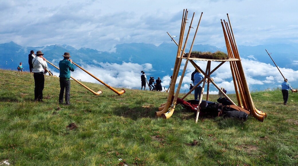 The annual Alpine Horn competition! This year on Sunday 23rd July.