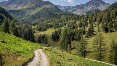 a path amid the mountain pastures of the Swiss mountains, Shutterstock ID 753523798, Purchase Order: SP-1394 HA Batch 3 Part 1, Order Number: , Client/Licensee: HomeAway, Other: To be paid with HA bud