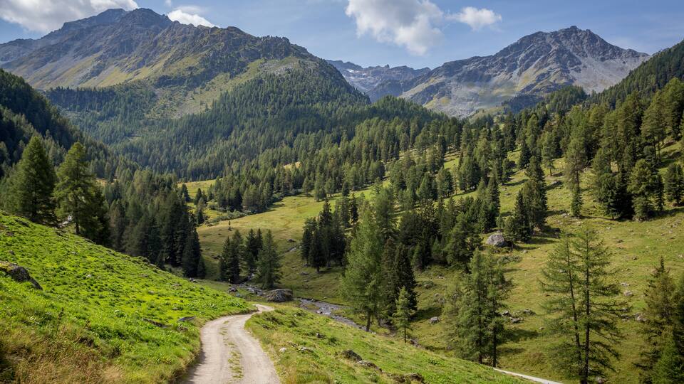 a path amid the mountain pastures of the Swiss mountains, Shutterstock ID 753523798, Purchase Order: SP-1394 HA Batch 3 Part 1, Order Number: , Client/Licensee: HomeAway, Other: To be paid with HA bud