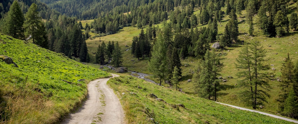 A mountain landscape with a dirt path, dense forests, and rocky peaks.
