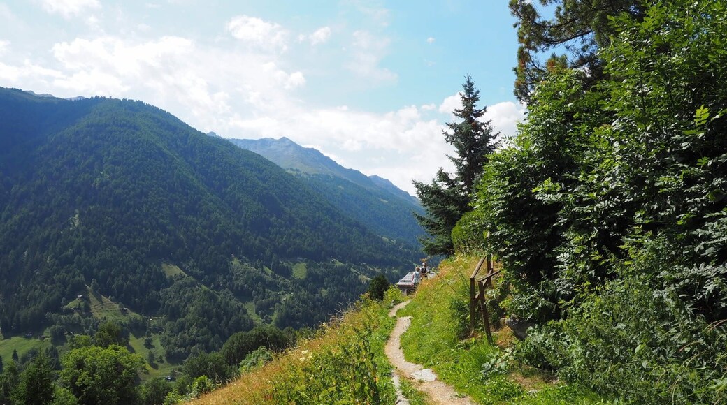 Taking a hike! #TakeAHike