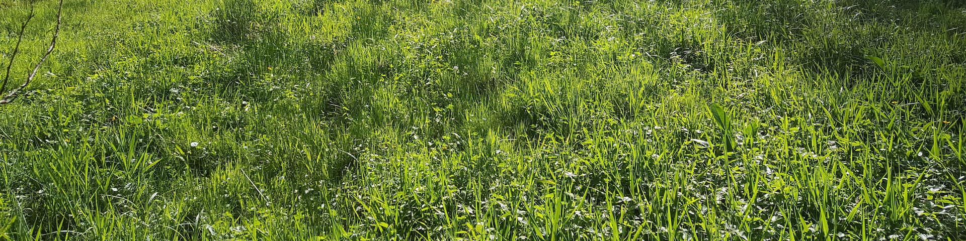 The Alsmicke valley located in "Alsmicketal mit Hangwäldern" nature reserve (Germany).