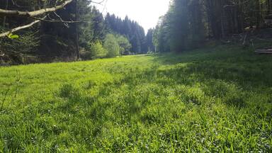 The Alsmicke valley located in "Alsmicketal mit Hangwäldern" nature reserve (Germany).