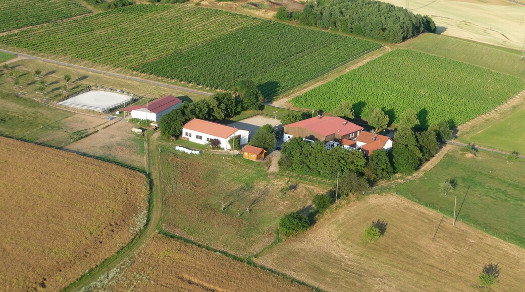 Hahner Hof bei Schloßböckelheim