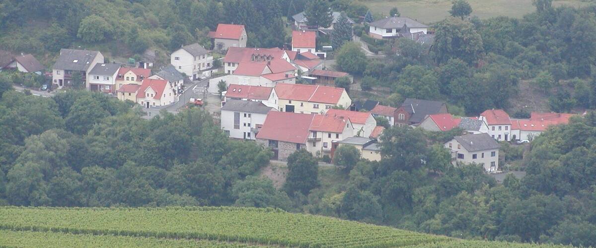 Schlossböckelheim-Tal