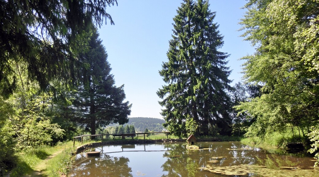 Dürrbecks Landschaftsgarten 2