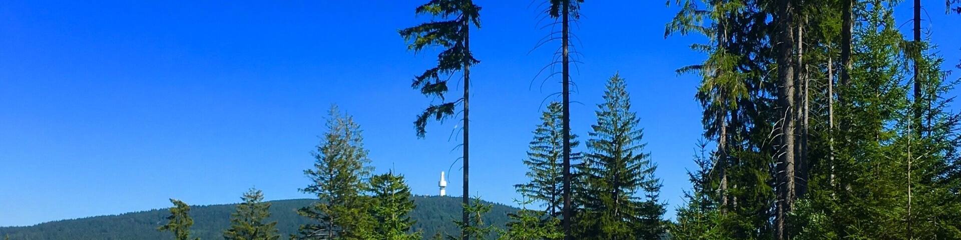 In the Fichtel Mountains, Bavaria, view from the Ochsenkopf (1024m) to the Schneeberg (1053m)
#green