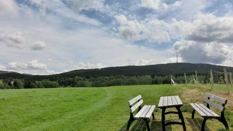 A grassy field with two wooden benches and a fence in the background.