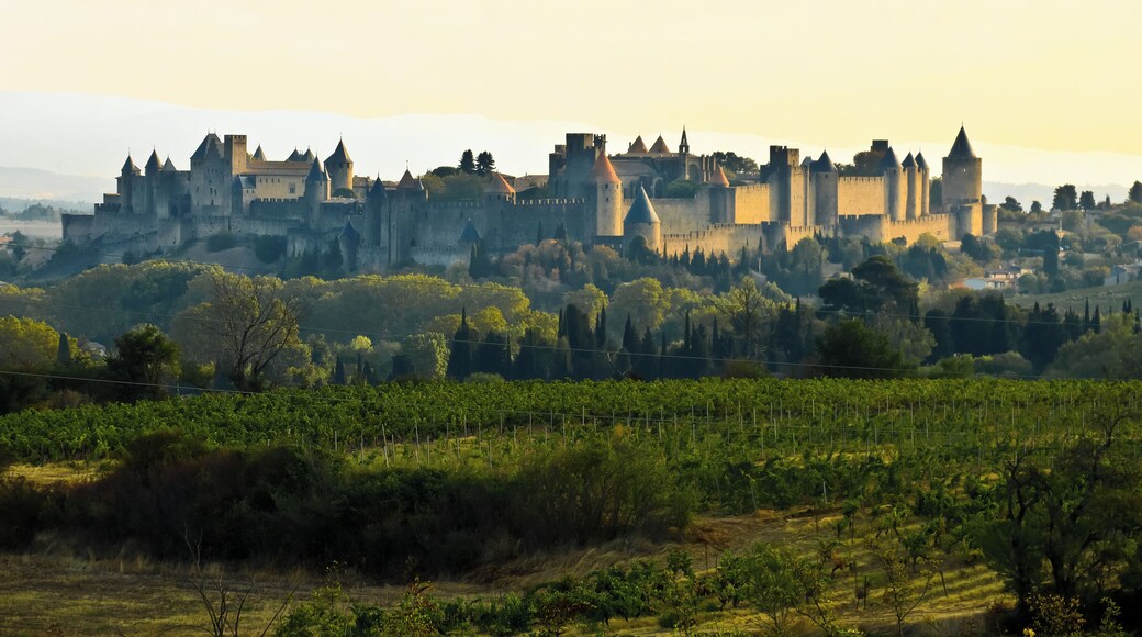 This building is indexed in the Base Mérimée, a database of architectural heritage maintained by the French Ministry of Culture, under the reference PA00102588 .