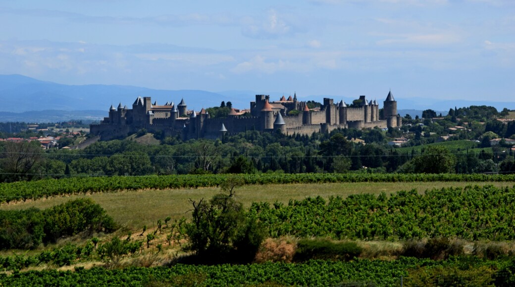 This building is indexed in the Base Mérimée, a database of architectural heritage maintained by the French Ministry of Culture, under the reference PA00102588 .
