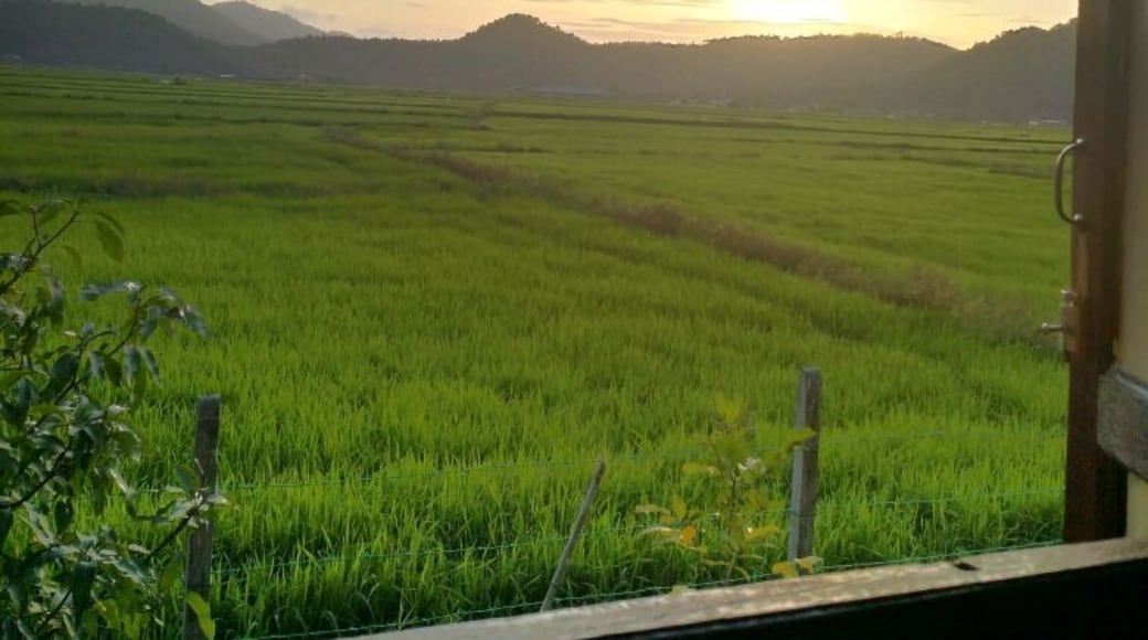 Not got out of bed and there is no filter. I have just opened the window and this is the view I woke up to.
#Trovember