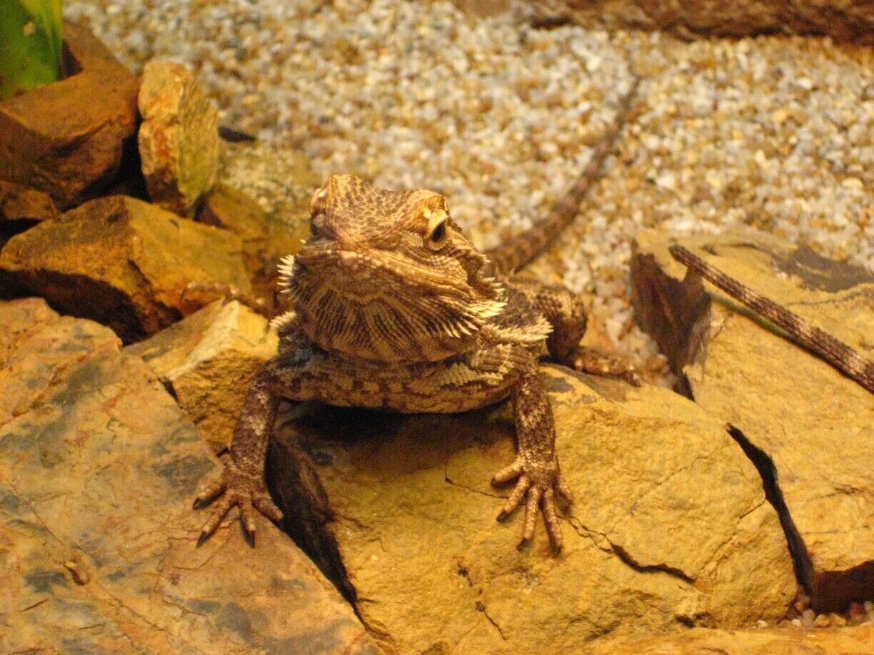 yes... 
anything i can help u?