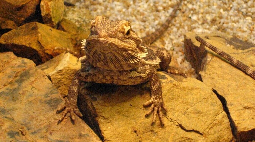 yes...
anything i can help u?