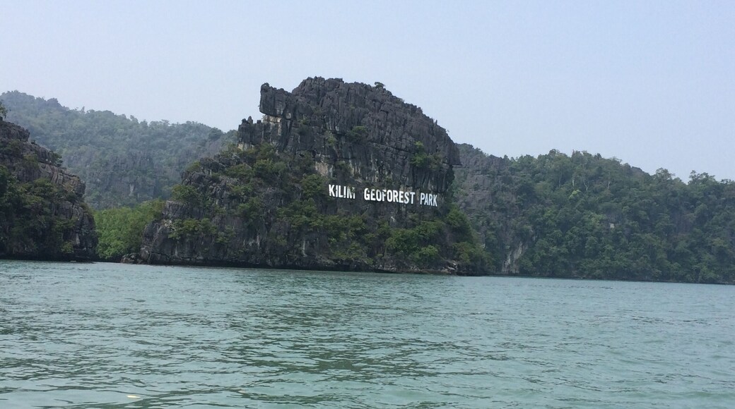 The conserved geo-forest park