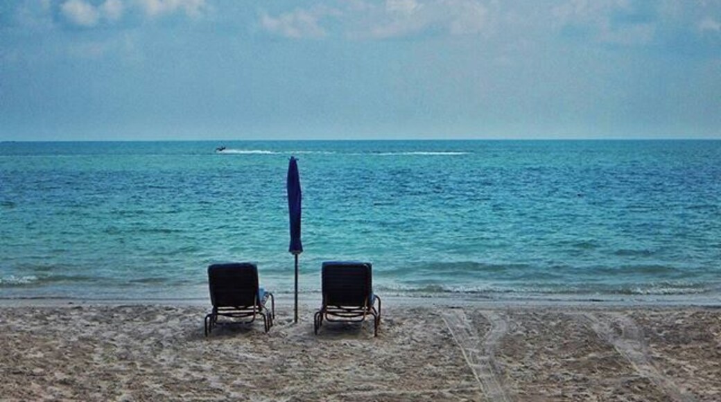 I had almost forgotten the peculiar smell of sea water, walking on broken shells, crashing sound of waves, the annoying ways of sand getting into my ears and to the tiniest pockets of my shorts.
It had been 7 months since I last saw a beach. Langkawi, at first glance, looked a bit disappointing and out-of-budget but a long walk by the waters has been refreshing.
What's your favorite place for beach-bumming?
#Malaysia #malaysiatourism #ig_asia #ig_malaysia_ #travelgram #travelpics #traveldiaries #helloworld #exploremalaysia #exploremore #southeastasia #langkawi #langkawiisland #pentaichenang #cenangbeach #sunandsand #beachlife #beaches #lifeisabeach #beaches_oftheworld #langkawitrip #dailyescape #cloudstagram #beachtime #wow_malaysia #malaysiatrulyasia #mysimpleclick #ig_travel #visitmalaysia #travelmalaysia #Blue