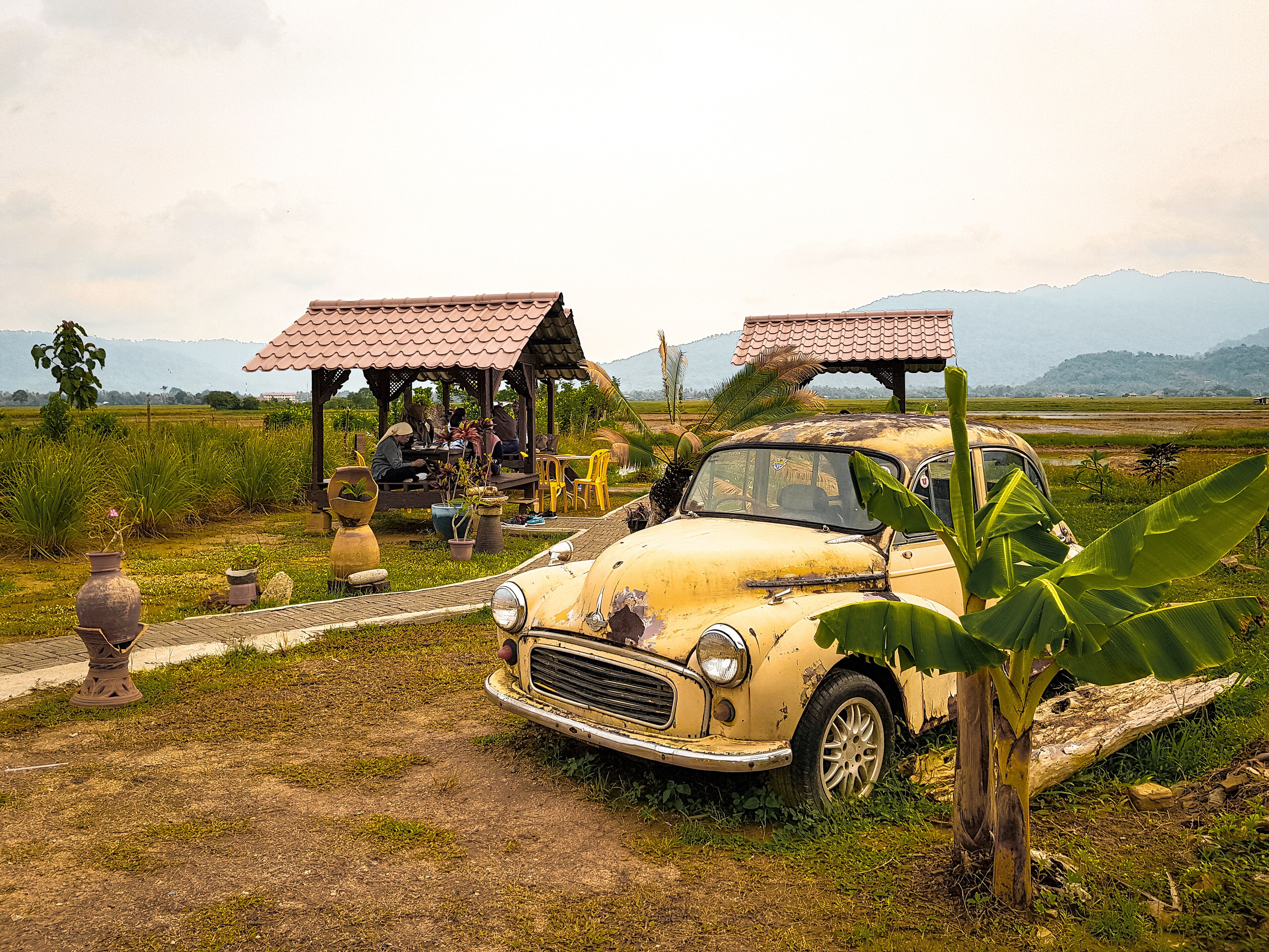 Breakfast view situated in the paddy fields, eating Langkawi's famous and delicious Nasi dagang Pak Malau. Tip: come early, before noon, as they run out fast! My favorites were their beef and fish nasi dagang. #lifeatexpediagroup #lifeatexpedia