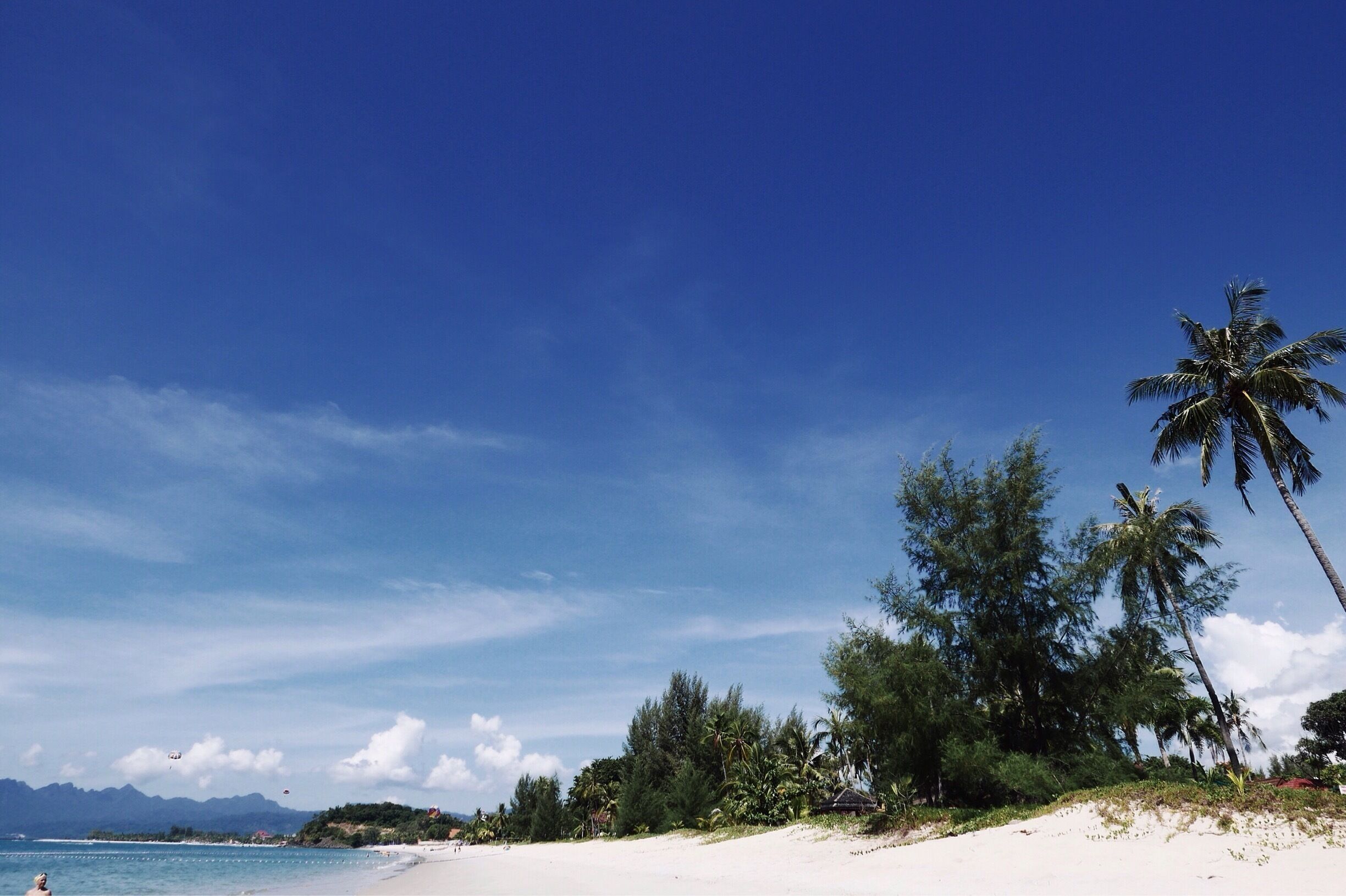 A beach with white sand, palm trees, and a clear blue sky.