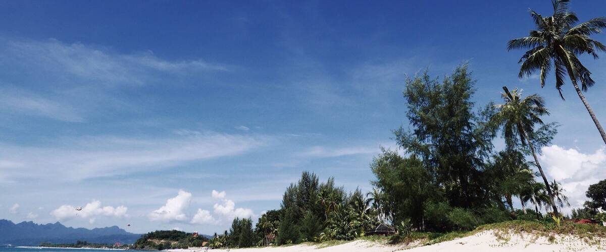 A beach with white sand, palm trees, and a clear blue sky.