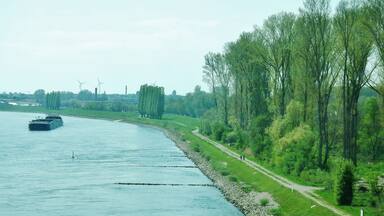 Der Rhein