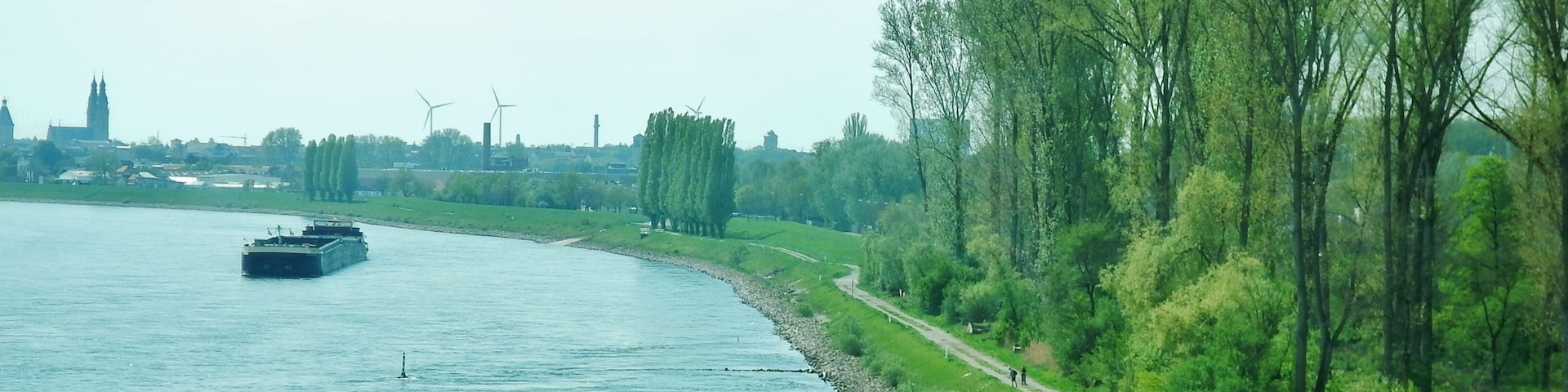 Der Rhein
