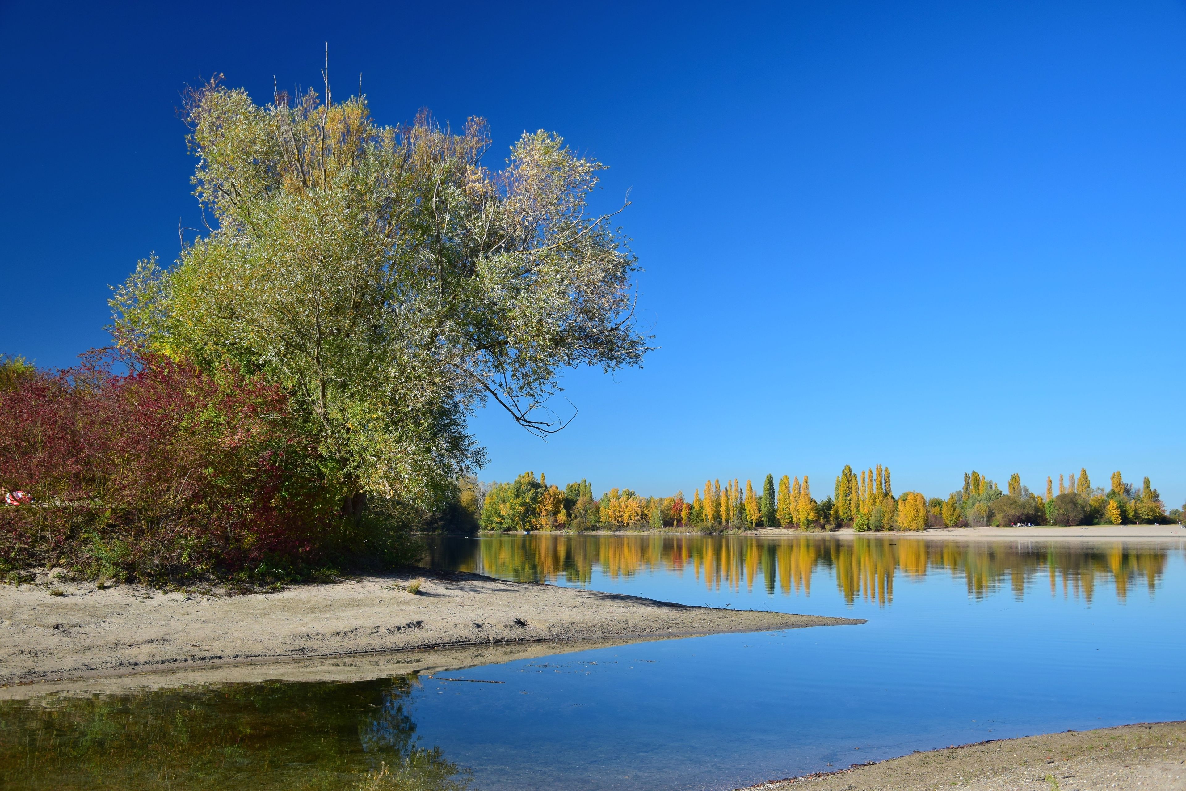 Un lago sereno con reflejos nítidos, rodeado de árboles con follaje otoñal, y un cielo azul despejado.