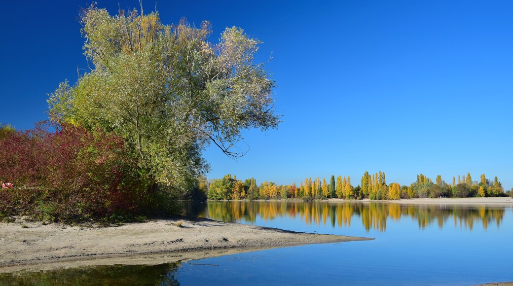 Un lago sereno con reflejos nítidos, rodeado de árboles con follaje otoñal, y un cielo azul despejado.