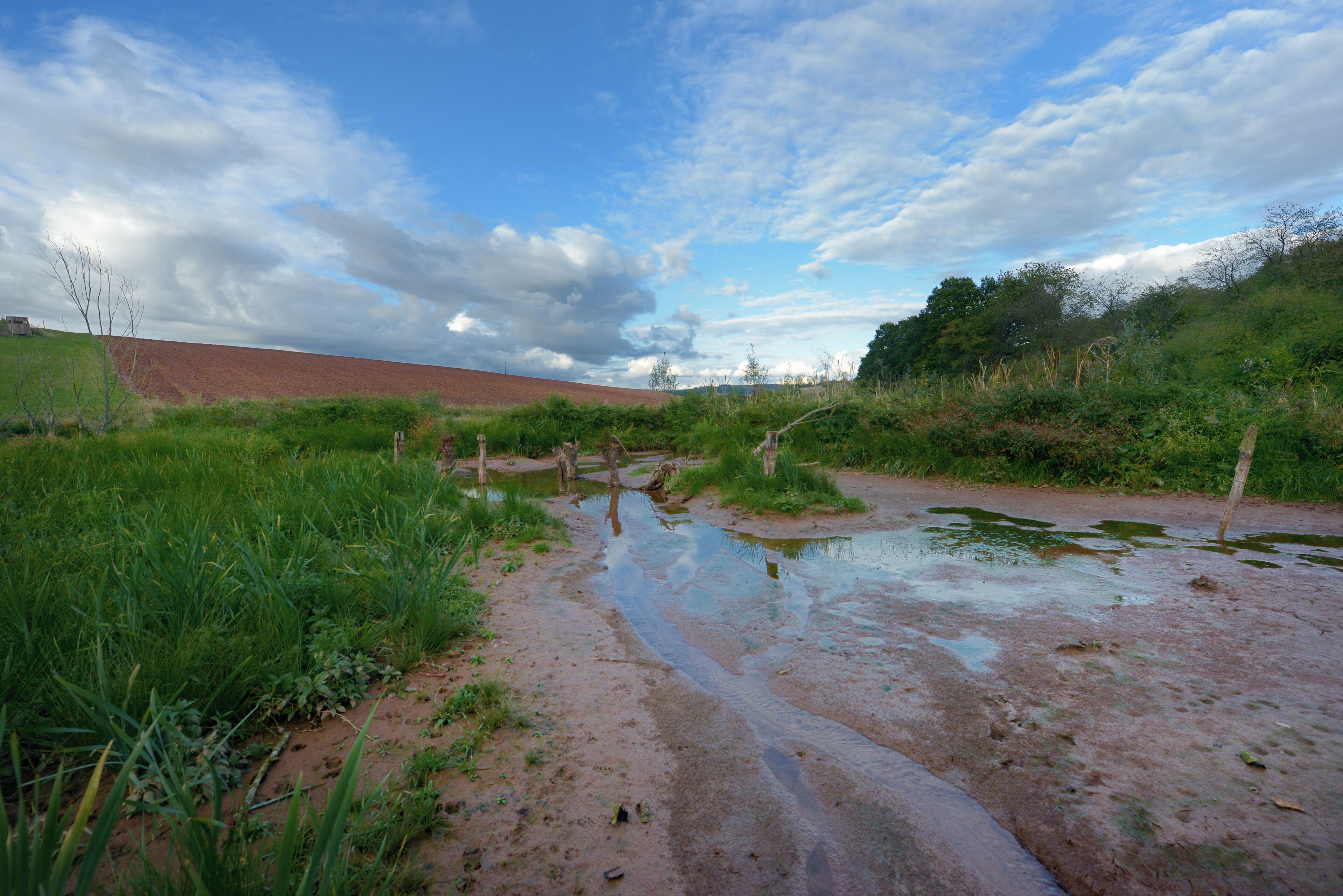 Biberdamm am Zusammenfluss von Malz- und Mettelbach in Uchtelfangen (Ortsteil von Illingen, Saarland); weiterer Bachlauf: Malzbach-Uchtelbach-Ill; Gewässerbereich im Naturschutzgebiet „Täler der Ill und ihrer Nebenbäche“, Umgebung im Landschaftsschutzgebiet „Illingen-Malzbach“