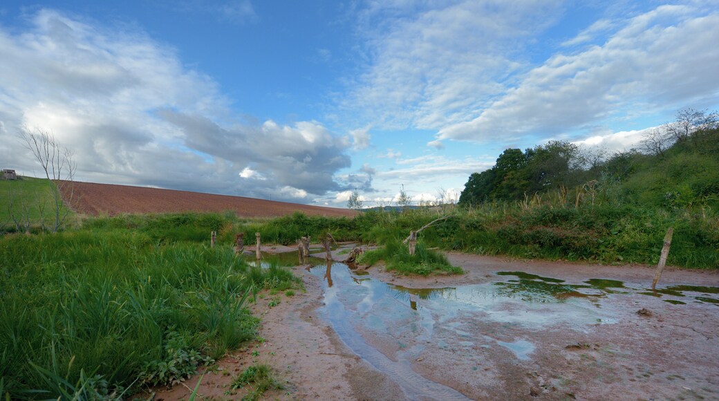 Biberdamm am Zusammenfluss von Malz- und Mettelbach in Uchtelfangen (Ortsteil von Illingen, Saarland); weiterer Bachlauf: Malzbach-Uchtelbach-Ill; Gewässerbereich im Naturschutzgebiet „Täler der Ill und ihrer Nebenbäche“, Umgebung im Landschaftsschutzgebiet „Illingen-Malzbach“