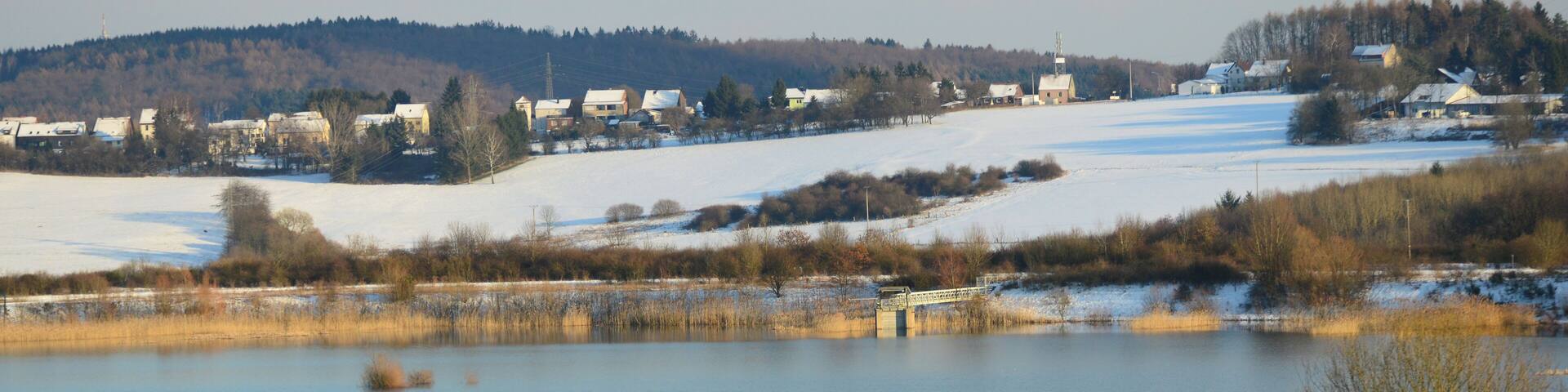 Schlammweiher der ehemaligen Grube Göttelborn. Heute Teil der Landschaft der Industriekultur Nord (LIK.Nord), Naturschutzgroßprojekt. Der Schlammweiher Hahnwies und sein Umfeld befindet sich auf dem Gebiet der Gemeinden Illingen und Merchweiler, Saarland/ Deutschland.