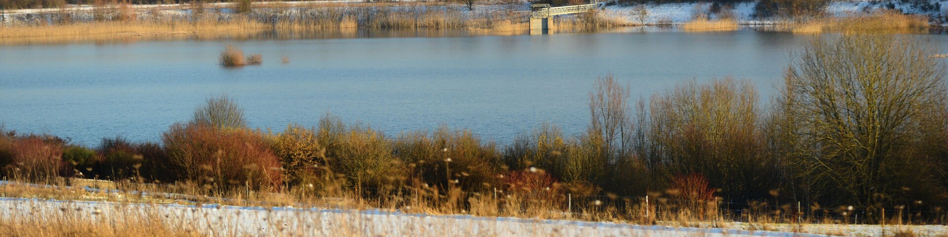 Schlammweiher der ehemaligen Grube Göttelborn. Heute Teil der Landschaft der Industriekultur Nord (LIK.Nord), Naturschutzgroßprojekt. Der Schlammweiher Hahnwies und sein Umfeld befindet sich auf dem Gebiet der Gemeinden Illingen und Merchweiler, Saarland/ Deutschland.