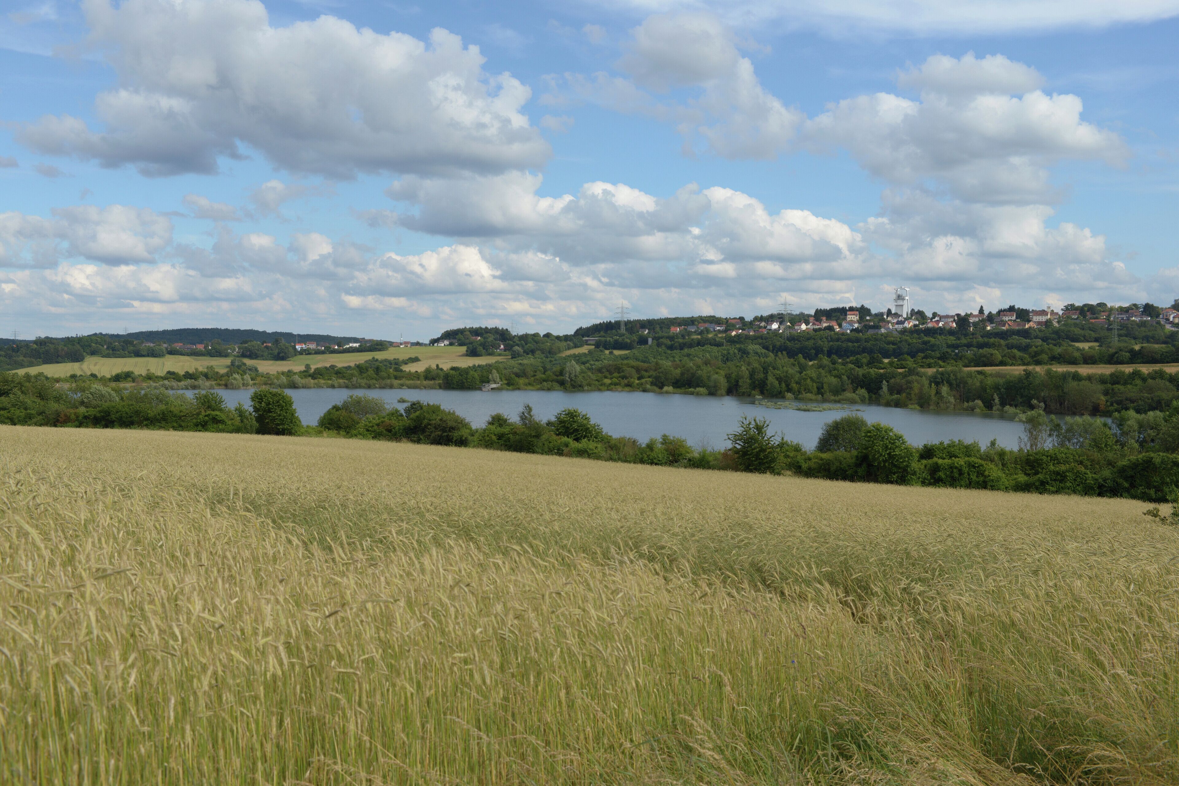 Schlammweiher der ehemaligen Grube Göttelborn. Heute Teil der Landschaft der Industriekultur Nord (LIK.Nord), Naturschutzgroßprojekt. Der Schlammweiher Hahnwies und sein Umfeld befindet sich auf dem Gebiet der Gemeinden Illingen und Merchweiler, Saarland/ Deutschland (2016).